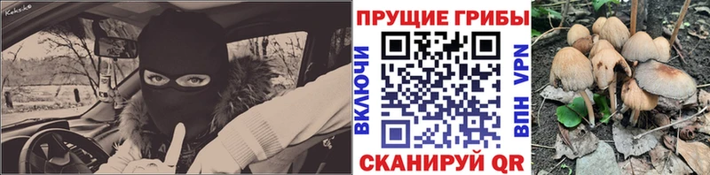 кракен рабочий сайт  Ливны  Галлюциногенные грибы прущие грибы 